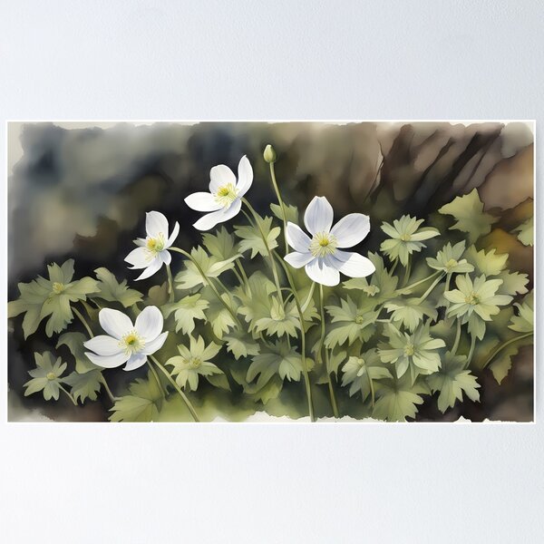 Item preview, Wood Anemones designed and sold by BookCovered.