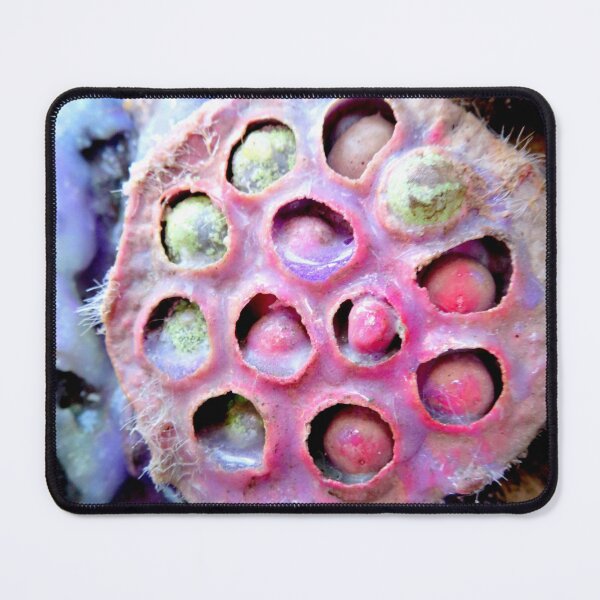 Item preview, Trypophobia Alien Seed Pods designed and sold by ShutterbugBttns.