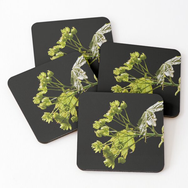 Item preview, Sun and shadow. Norway maple bw designed and sold by Jouko Lehto Photography.