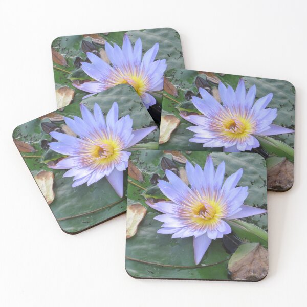 Item preview, Purple Water Lily designed and sold by ShutterbugBttns.