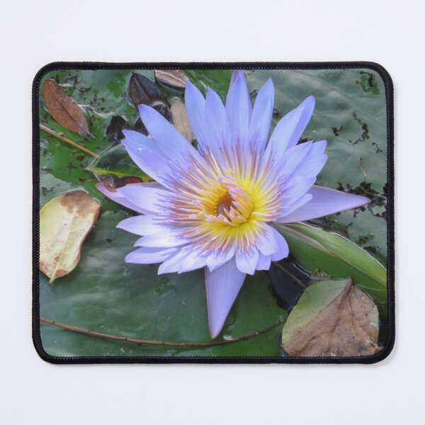 Item preview, Purple Water Lily designed and sold by ShutterbugBttns.