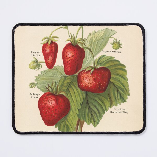 Item preview, Vintage Strawberry Print designed and sold by Bruiserstang.