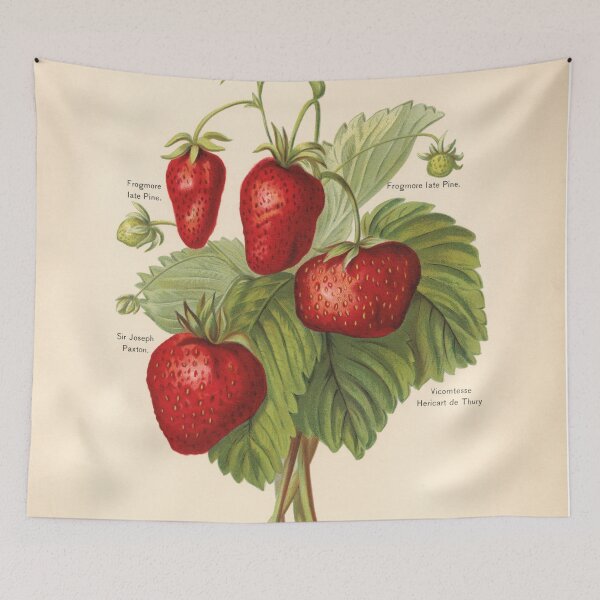 Item preview, Vintage Strawberry Print designed and sold by Bruiserstang.