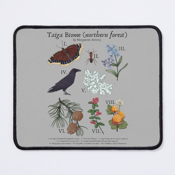 Item preview, Taiga Biome (Northern Forest or Boreal Forest) Vintage Nature Art designed and sold by Marguerite Artistry.