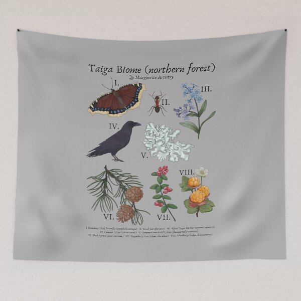 Item preview, Taiga Biome (Northern Forest or Boreal Forest) Vintage Nature Art designed and sold by Marguerite Artistry.