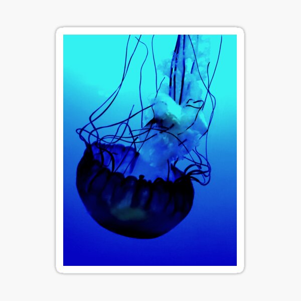 Item preview, Jellyfish designed and sold by katehub79.