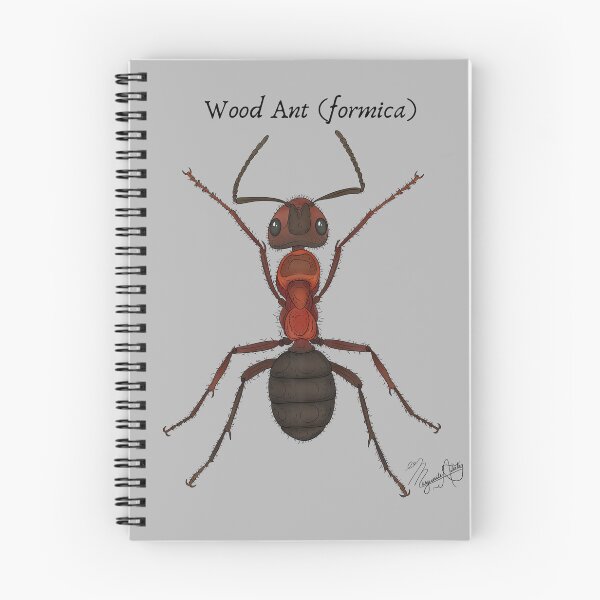Item preview, Wood Ant (Formica) Vintage Nature Art designed and sold by Marguerite Artistry.
