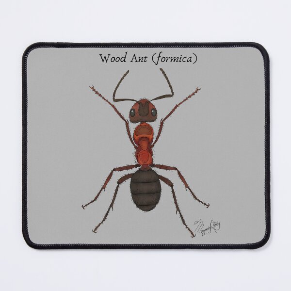 Item preview, Wood Ant (Formica) Vintage Nature Art designed and sold by Marguerite Artistry.