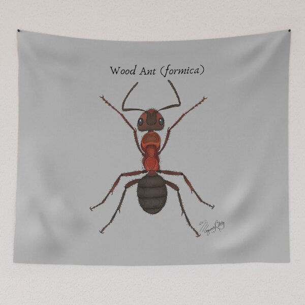 Item preview, Wood Ant (Formica) Vintage Nature Art designed and sold by Marguerite Artistry.