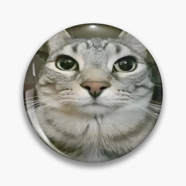 Item preview, staring cat  designed and sold by Xhoen.