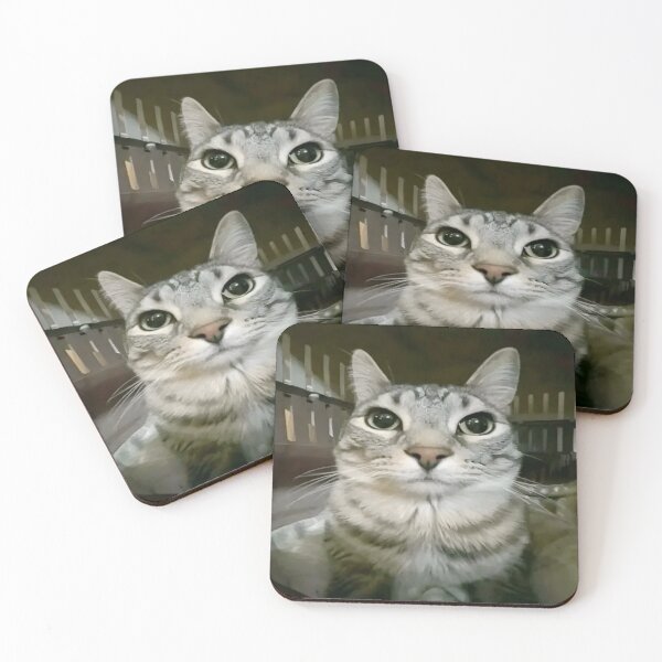 Item preview, staring cat  designed and sold by Xhoen.