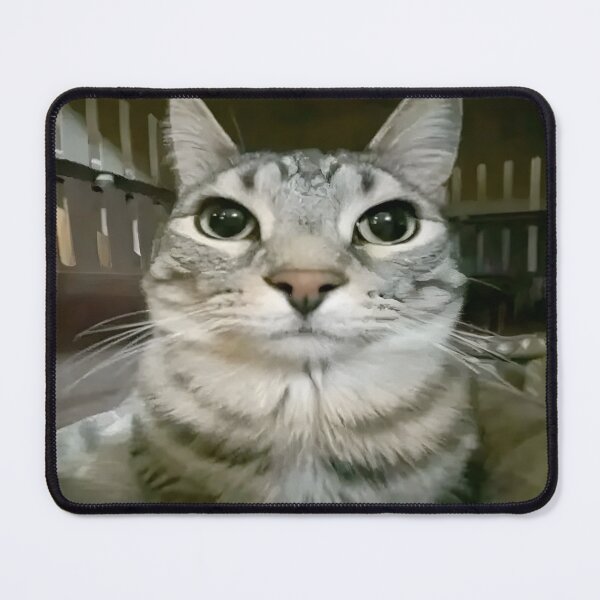 Item preview, staring cat  designed and sold by Xhoen.