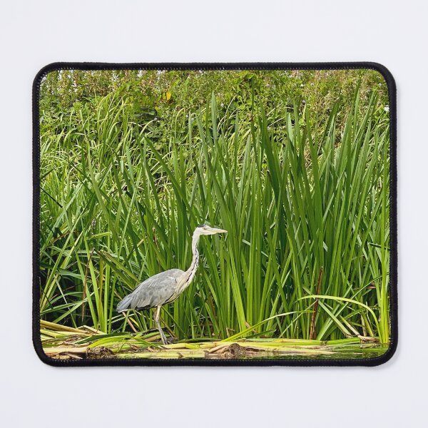 Item preview, Heron, River Nene, Oundle Marina designed and sold by Kate Anderson Art.