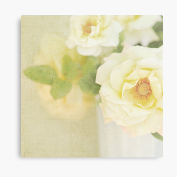 Amber Roses II Metal Print