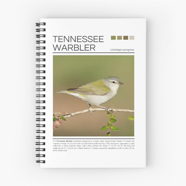 Item preview, Tennessee Warbler designed and sold by StudioRedKoala.