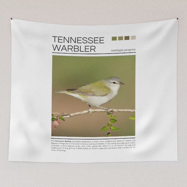 Item preview, Tennessee Warbler designed and sold by StudioRedKoala.