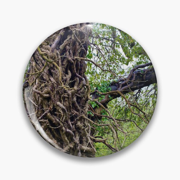 Item preview, Ivy on Tree Trunk, Old Sulehay Forest, Northamptonshire designed and sold by Kate Anderson Art.