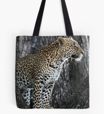 Leopard in a tree Tote Bag