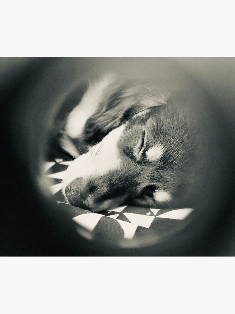 Thumbnail 5 of 5, Mouse Pad, Oboe and Izzy TWTD designed and sold by daniellelkunis.
