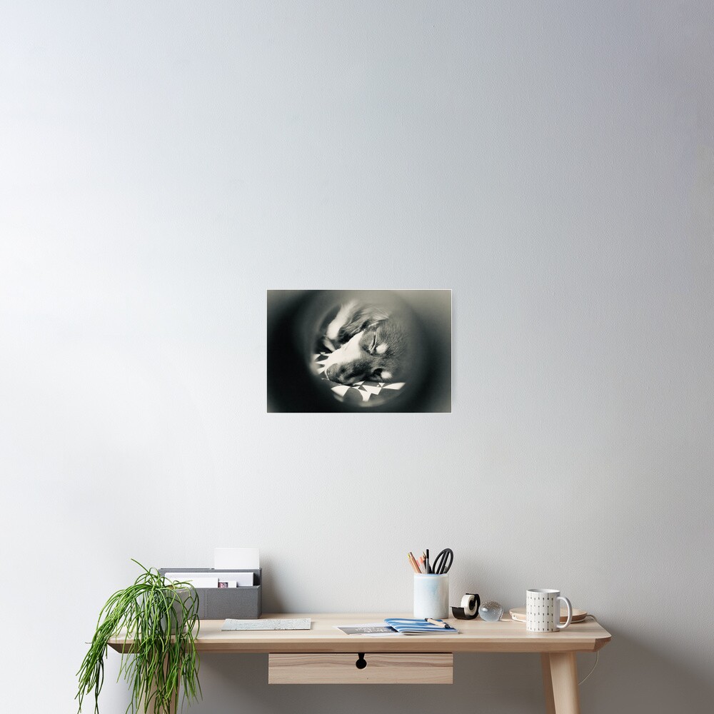 Item preview, Poster designed and sold by daniellelkunis.