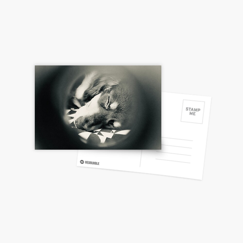 Item preview, Postcard designed and sold by daniellelkunis.