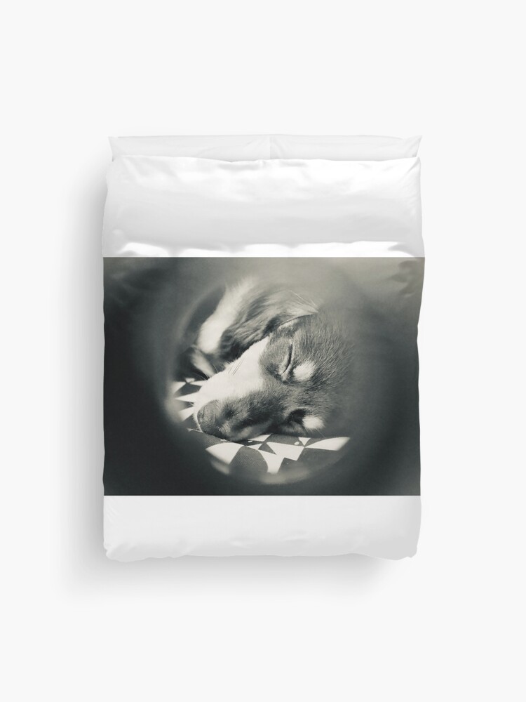 Thumbnail 1 of 2, Duvet Cover, Oboe and Izzy TWTD designed and sold by daniellelkunis.
