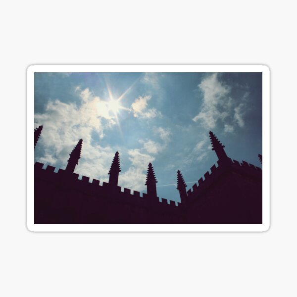 Item preview, Bodleian Libraries, Oxford designed and sold by Rachel J Bowler.