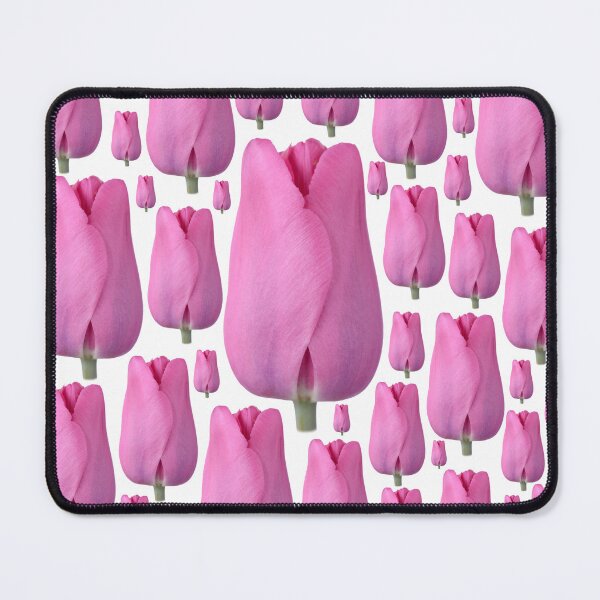 Item preview, Tulipa  'Pink Flag'  Tulip  Triumph Group  designed and sold by Chris Burrows.