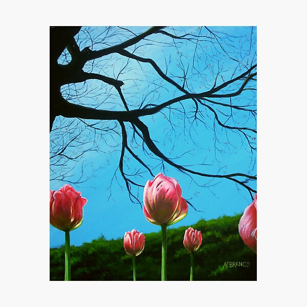Tulips Photographic Print