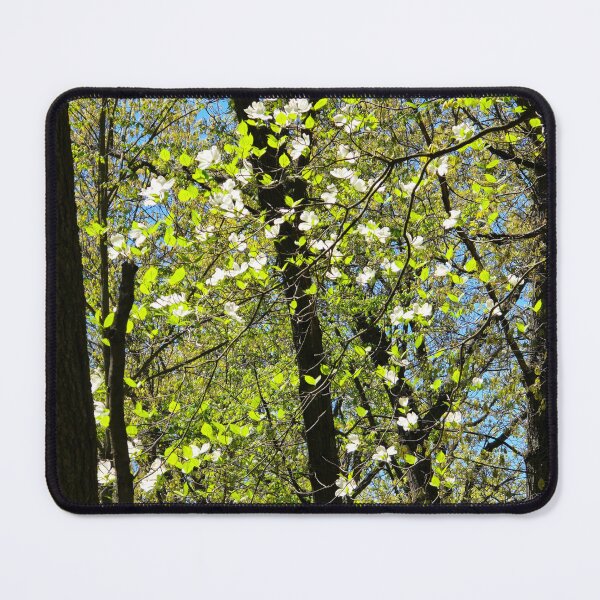 Item preview, White Flowering Dogwood designed and sold by bjtomiko.