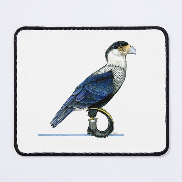 Item preview, Caracara in Jugo Boots designed and sold by JimsBirds.