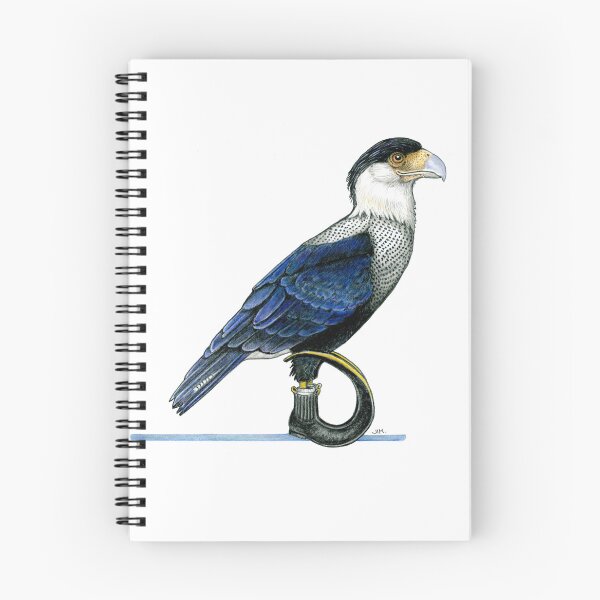 Item preview, Caracara in Jugo Boots designed and sold by JimsBirds.