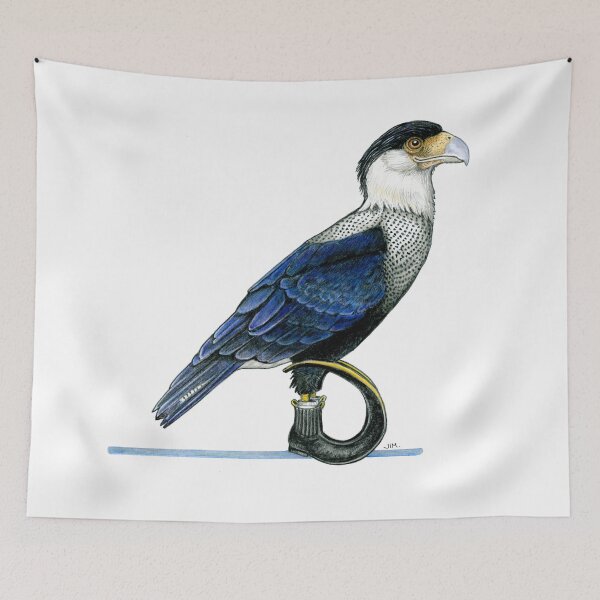 Item preview, Caracara in Jugo Boots designed and sold by JimsBirds.