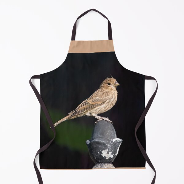 Item preview, A Finch With Horns designed and sold by CarolM.