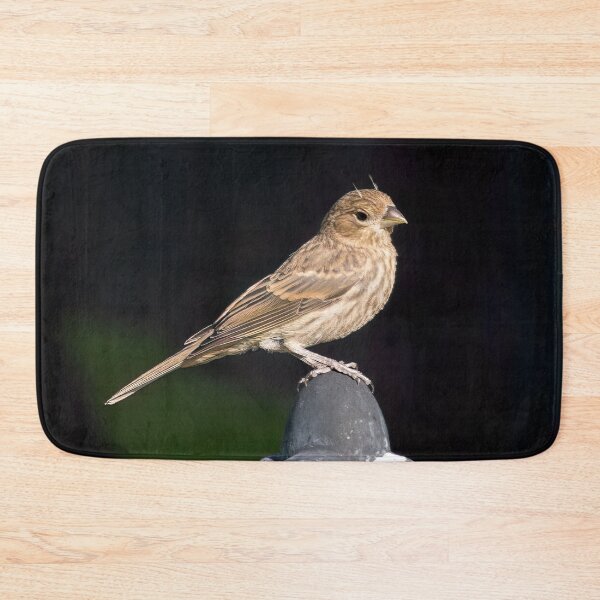 Item preview, A Finch With Horns   designed and sold by CarolM.