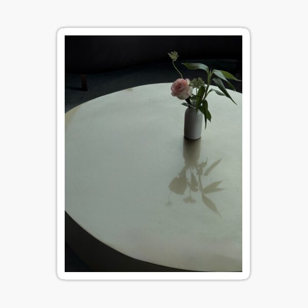 Single Pink Rose on Table Photograph Sticker
