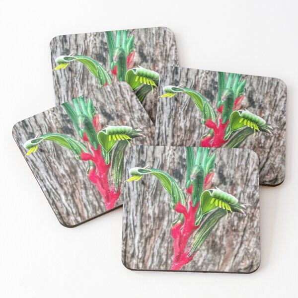Item preview, Kangaroo Paw designed and sold by Helly Peacock.