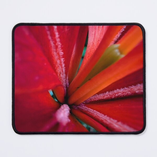 Item preview, Scarlet Sunset designed and sold by Emily Noyes.