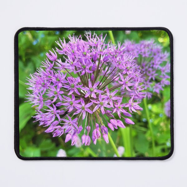 Item preview, Allium Beauty designed and sold by Lana Magnolia.