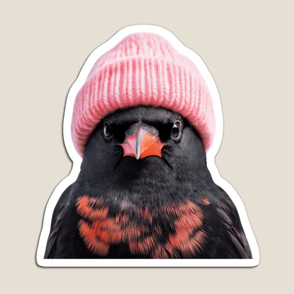 Item preview, Cozy Red-winged Blackbird Wearing Pink Winter Hat Trendy Animal Fashion Artwork designed and sold by LazyOwlStore.