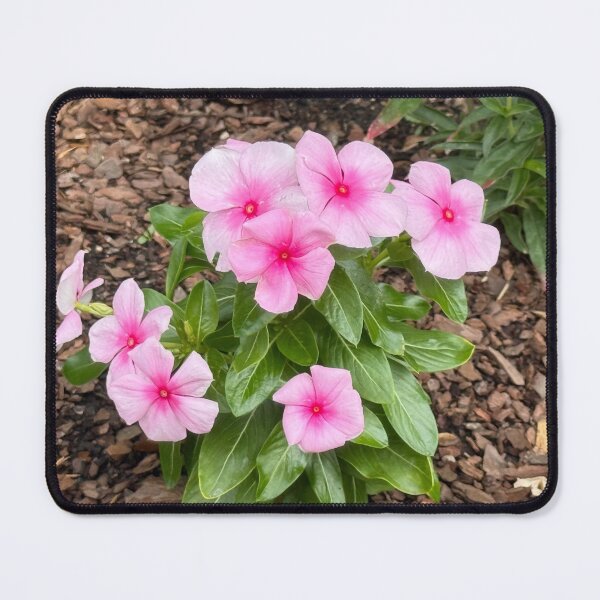Item preview, Flor rosa designed and sold by Great decoration.