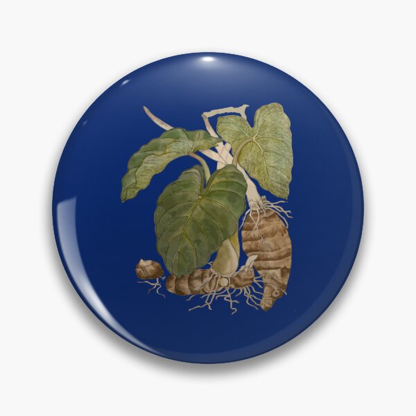 Item preview, Taro Botanical Vector Illustration designed and sold by taiche.