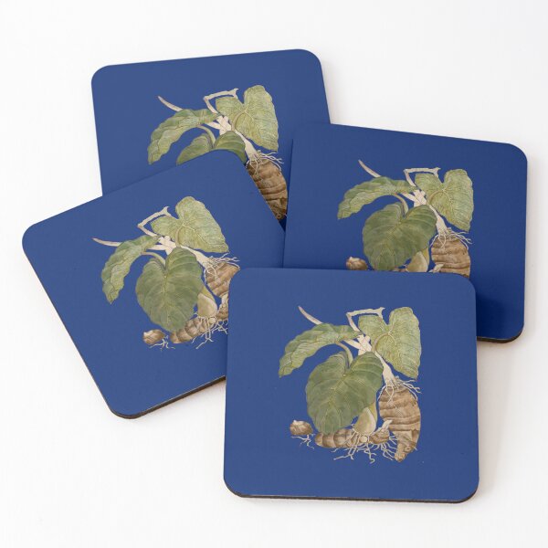 Item preview, Taro Botanical Vector Illustration designed and sold by taiche.
