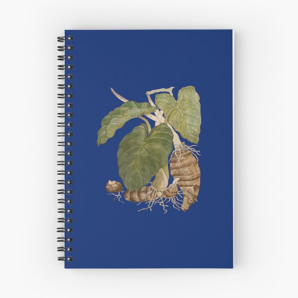 Item preview, Taro Botanical Vector Illustration designed and sold by taiche.