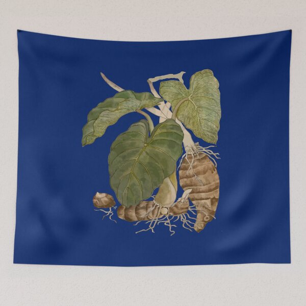 Item preview, Taro Botanical Vector Illustration designed and sold by taiche.