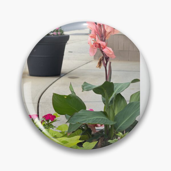Item preview, Plantas designed and sold by Great decoration.