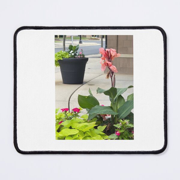 Item preview, Plantas designed and sold by Great decoration.