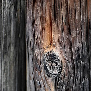 Artwork thumbnail, Fence by Tracy Engle