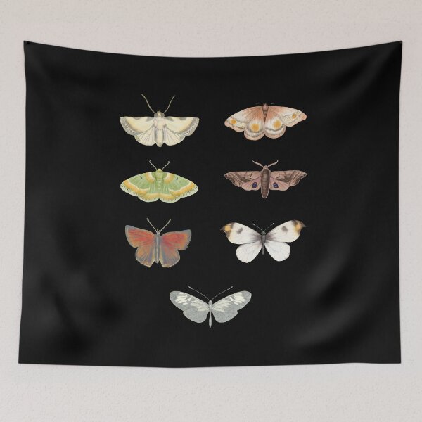 Item preview, Moths - aesthetic Pack designed and sold by SWETA HALDER.