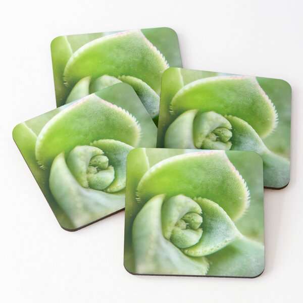 Item preview, Sweet Succulent designed and sold by Helly Peacock.